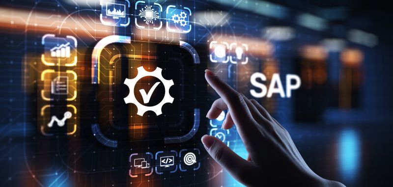 Imagen de una interfaz en la que se puede leer SAP