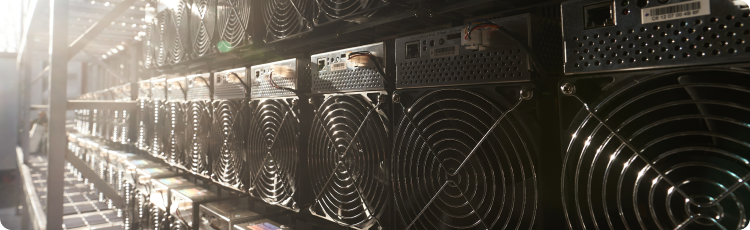 Close-up de hardware de mineraÃ§Ã£o de criptomoedas em um centro de dados, representando a infraestrutura por trÃ¡s da Bitcoin e outros ativos de prova de trabalho.
