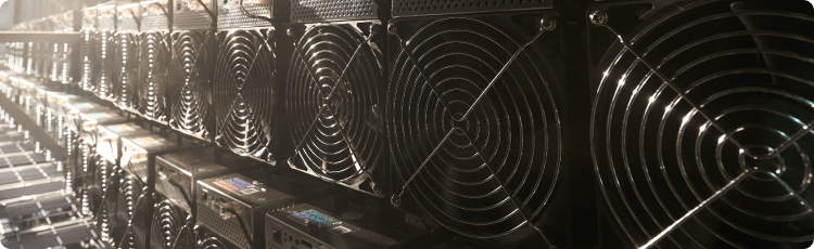 Rad vysokovÃ½konnÃ½ch chladiacich ventilÃ¡torov v zariadenÃ­ na Å¥aÅ¾bu kryptomien, ktorÃ© predstavuje Å¥aÅ¾bu bitcoinu a Å¡irÅ¡iu ekonomiku kryptotrhu.