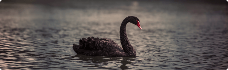 à¸«à¸à¸ªà¹à¸à¸³à¸§à¹à¸²à¸¢à¸à¹à¸³à¸­à¸¢à¸¹à¹à¸à¸à¸à¸´à¸§à¸à¹à¸³à¸à¸µà¹à¸ªà¸à¸ à¸ªà¸·à¹à¸­à¸à¸¶à¸à¹à¸«à¸à¸¸à¸à¸²à¸£à¸à¹à¹à¸à¸à¸¥à¸²à¸à¸à¸µà¹à¹à¸à¸´à¸à¸à¸¶à¹à¸à¹à¸à¹à¸¢à¸²à¸à¹à¸¥à¸°à¹à¸¡à¹à¸ªà¸²à¸¡à¸²à¸£à¸à¸à¸²à¸à¸à¸²à¸£à¸à¹à¹à¸à¹