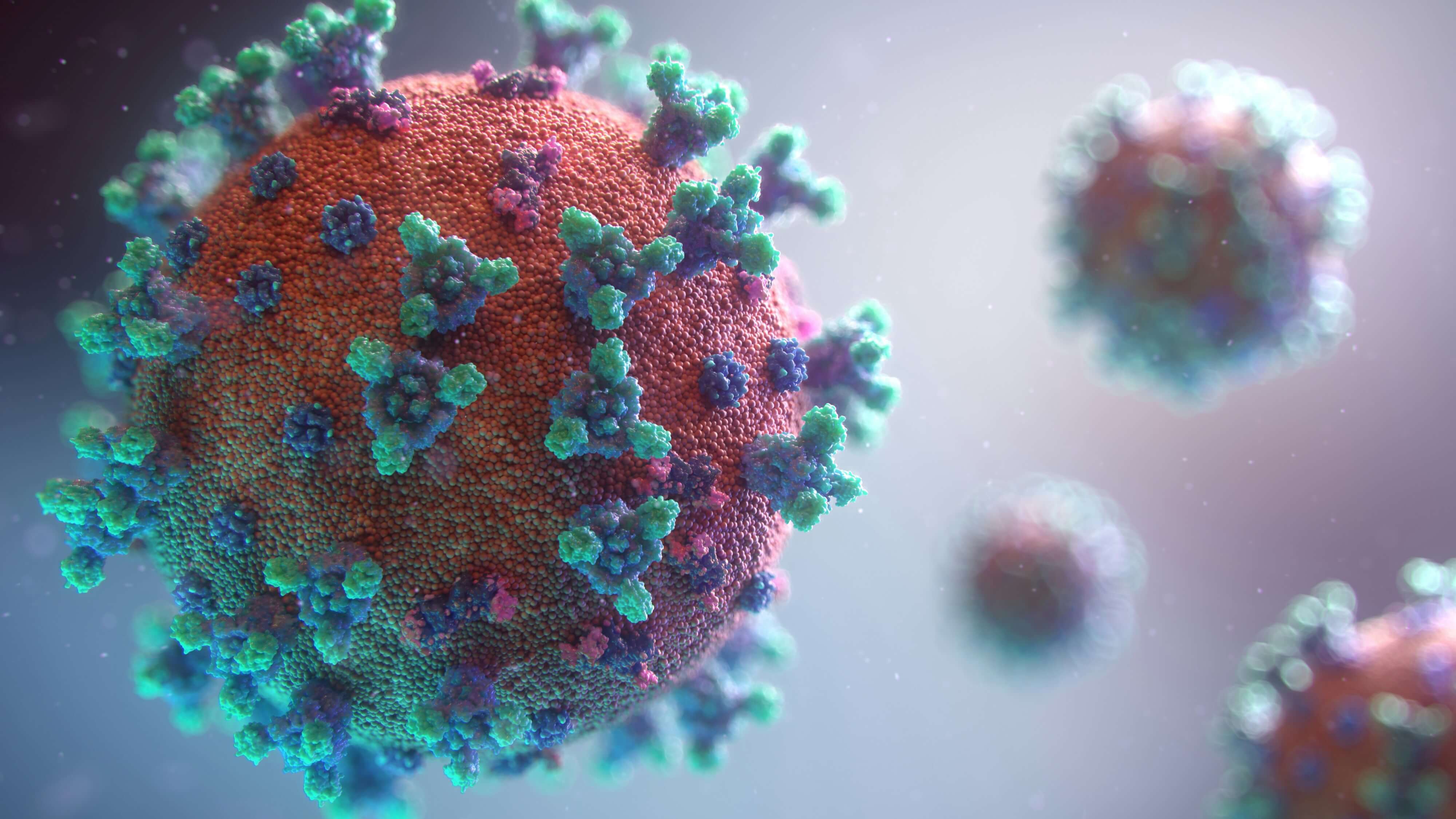 Imagen de un virus