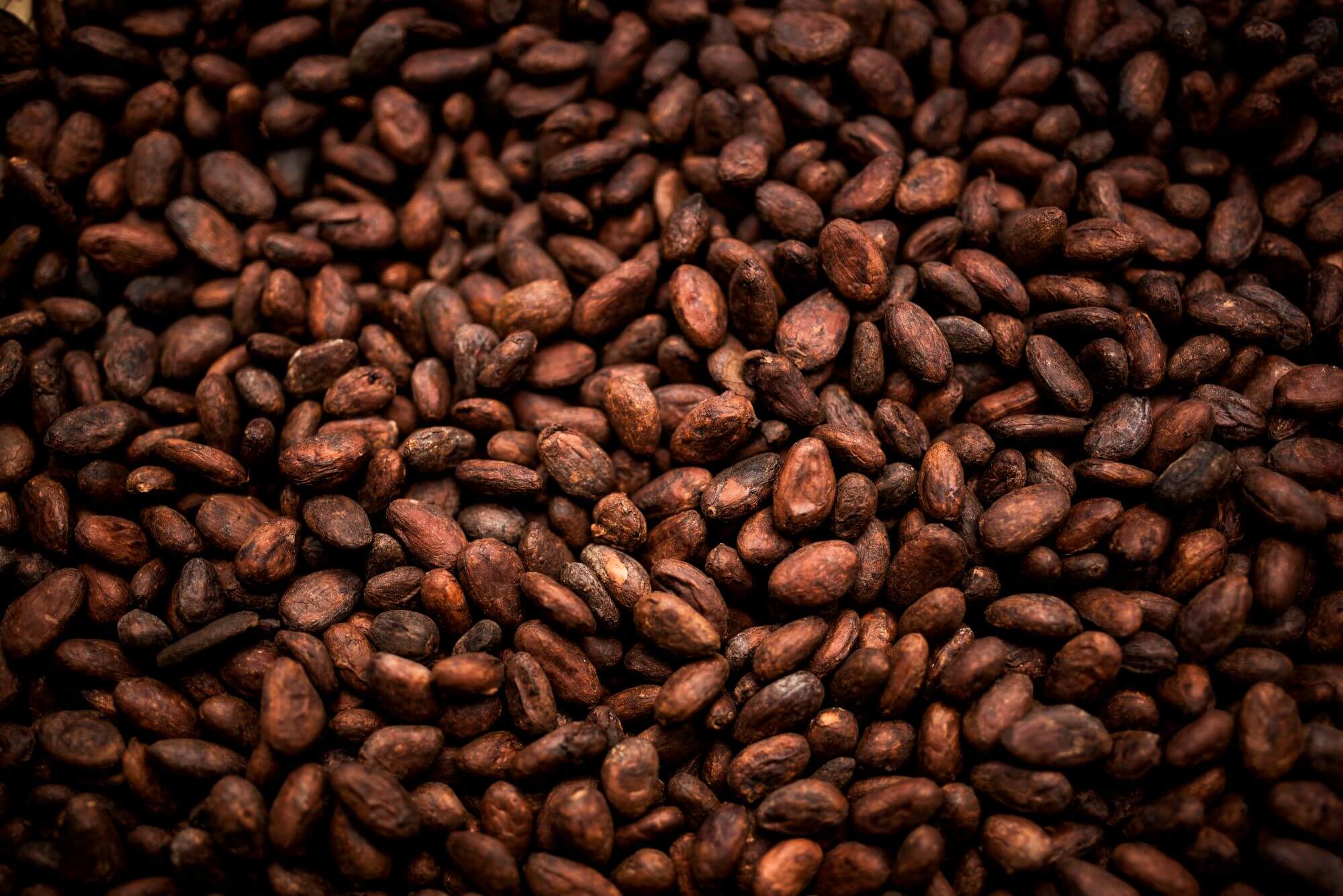 Imagen de cacao