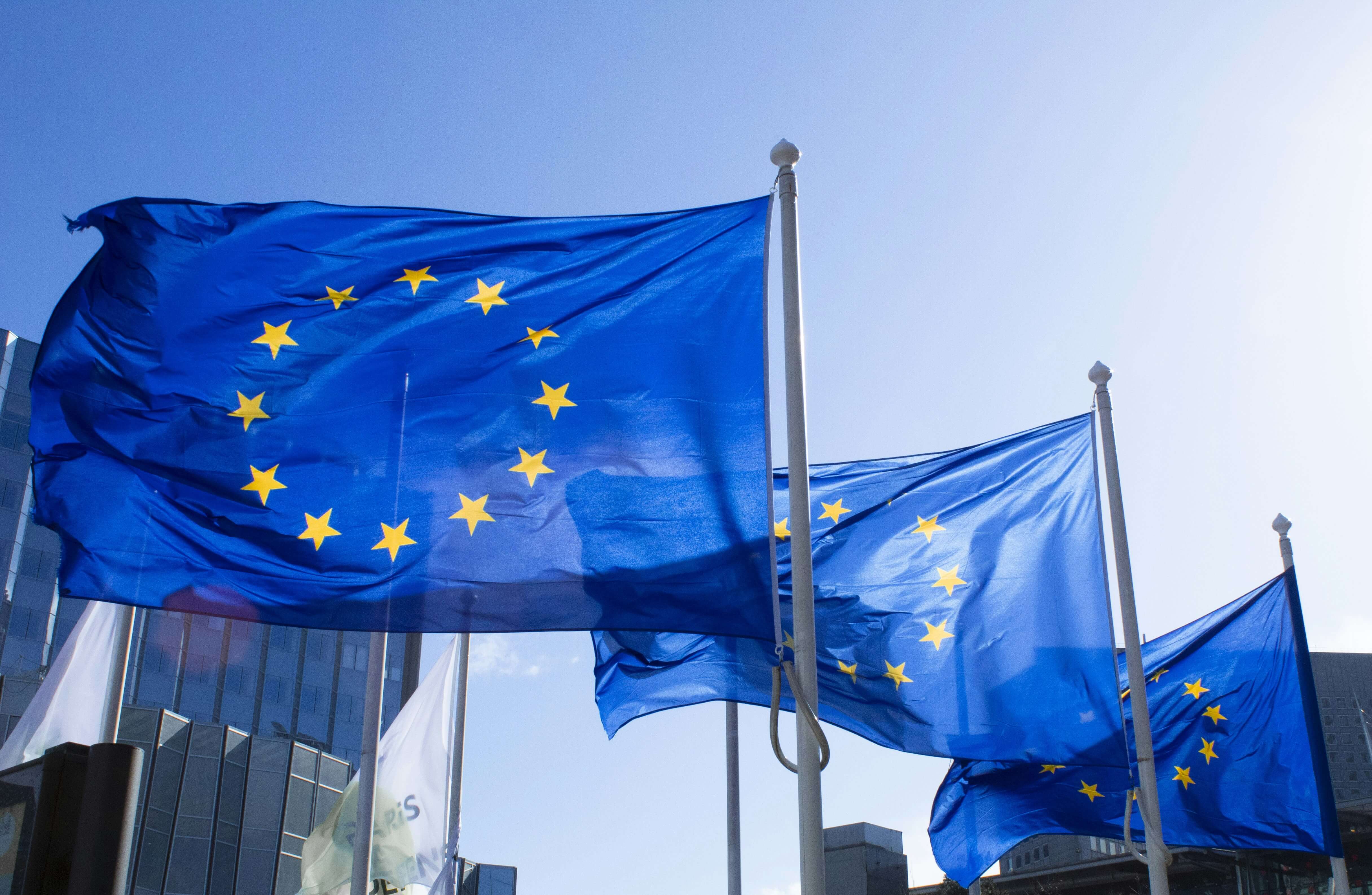 Imagen en la que se ven varias banderas de la UniÃ³n Europea