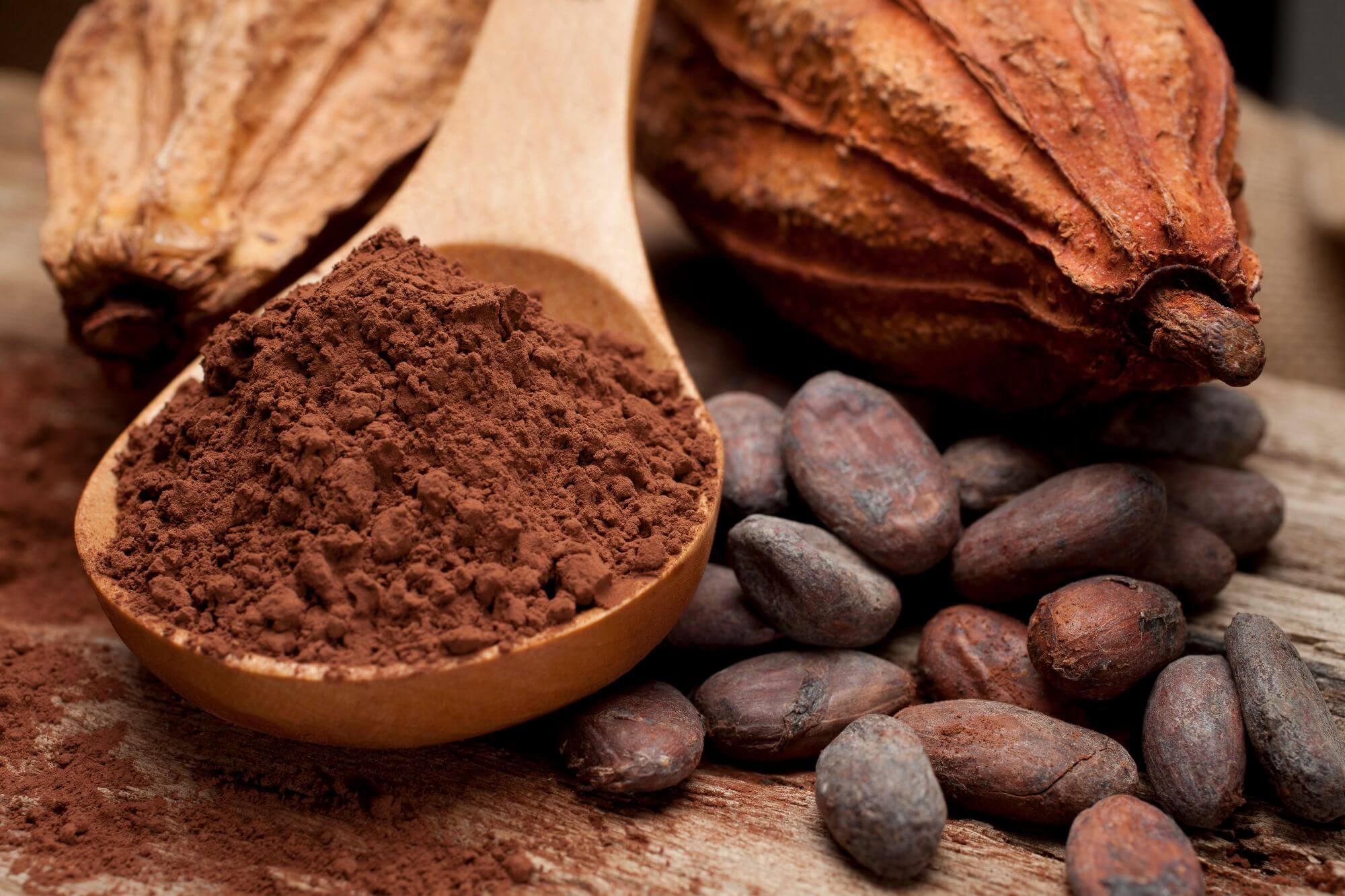 Imagen de cacao molido