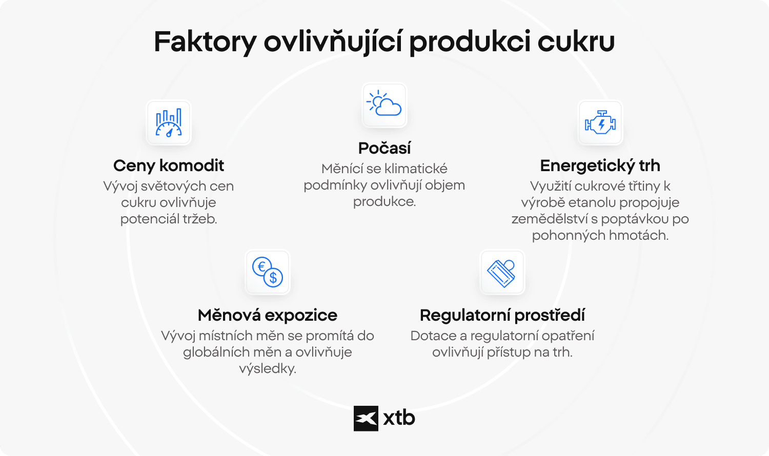 Infografika XTB ukazuje pět hlavních faktorů ovlivňujících akcie producentů cukru: cenu komodity, počasí, propojení s energetickým trhem přes etanol, měnovou expozici a regulaci.