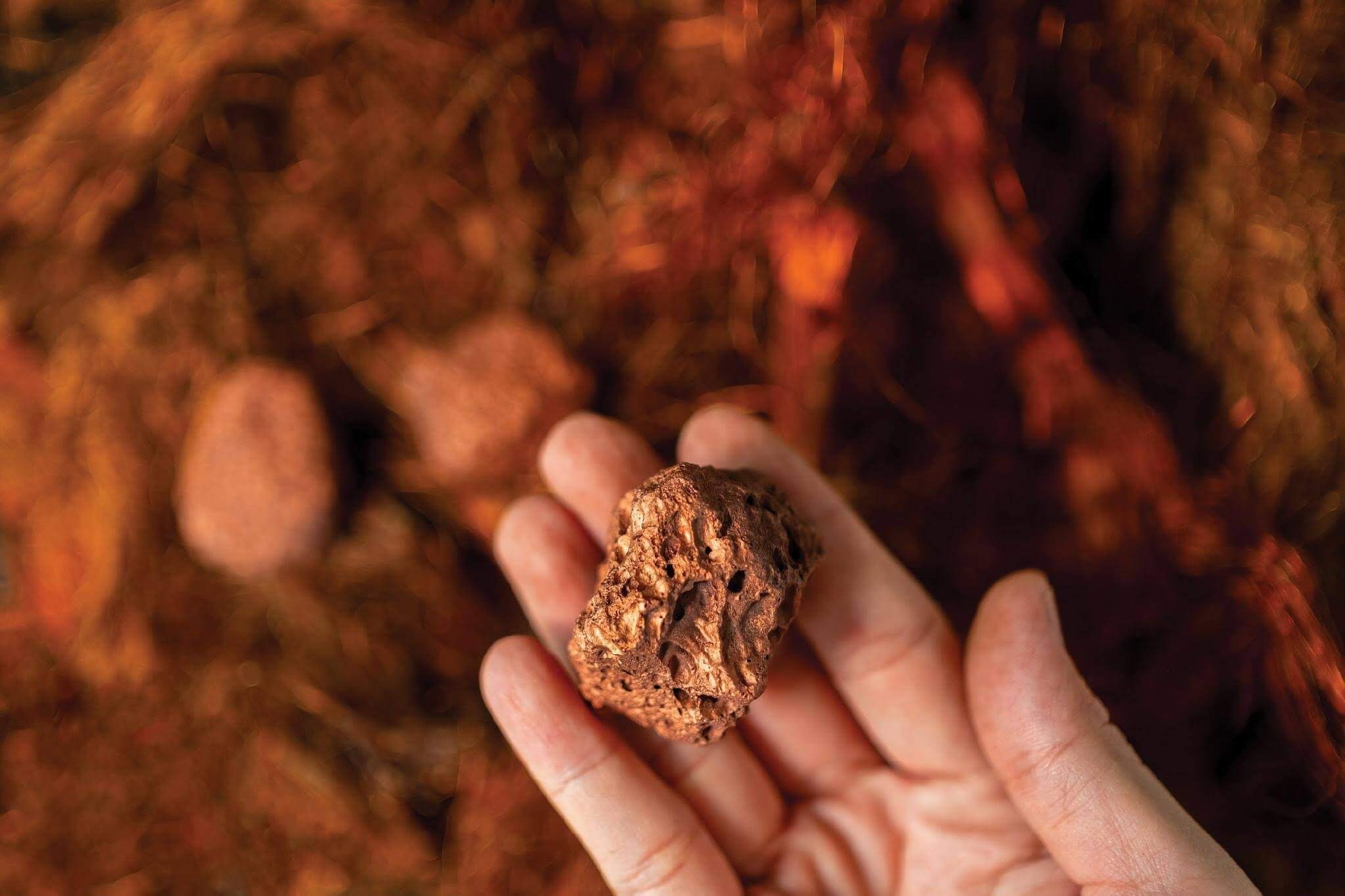 Um cobre físico na mão de uma pessoa em fundo alaranjado