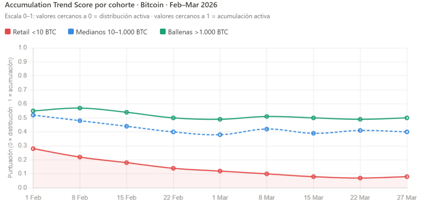 Divergencia de acumulacion por cohorte (retail vs. ballenas)