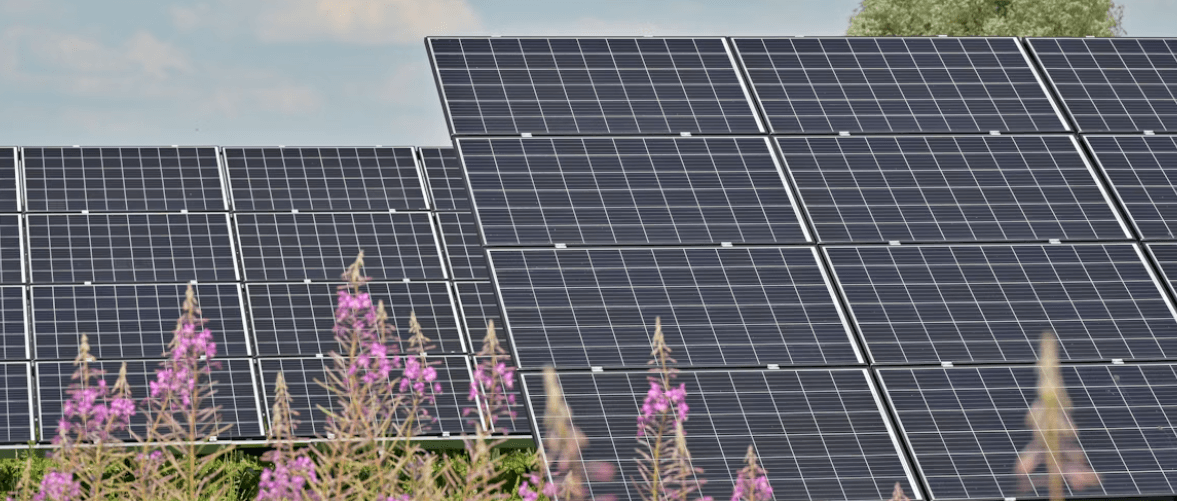 Imagen de placas solares en un artículo sobre las caídas de las acciones de Solaria