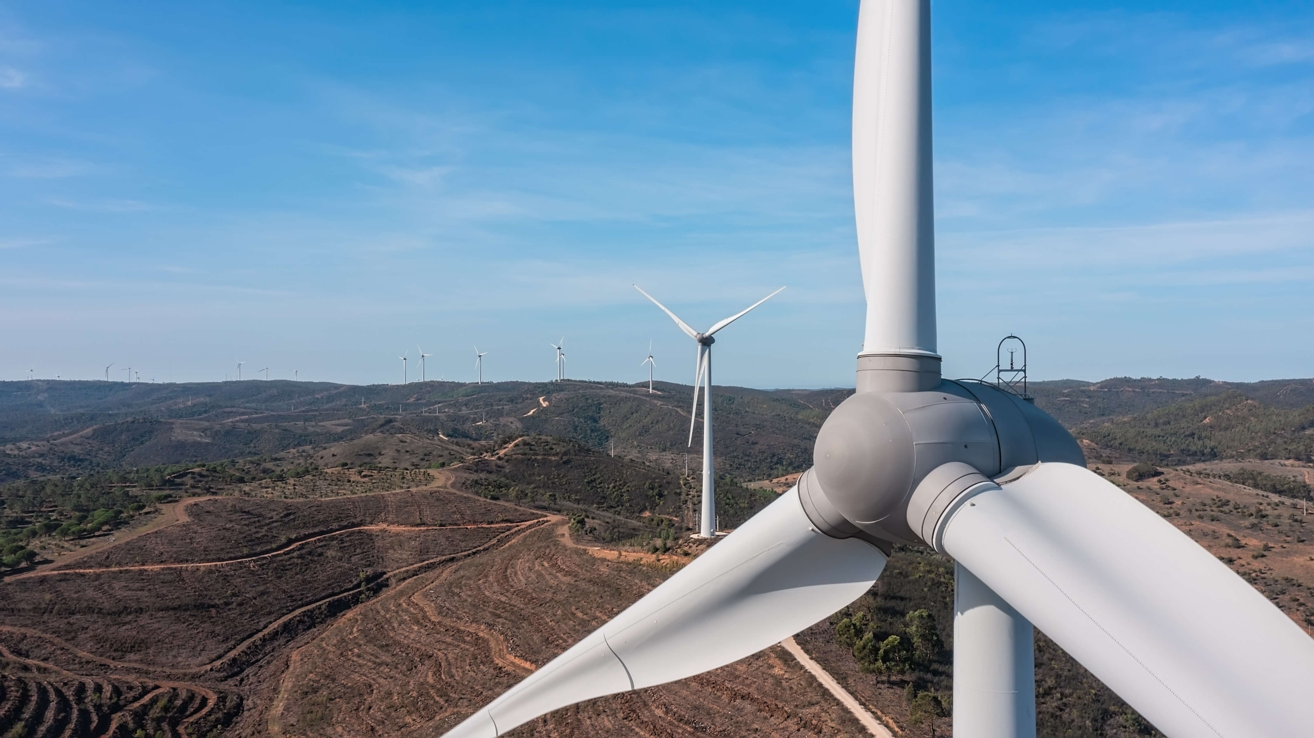 Imagen de un parque eólico en un artículo sobre las caídas de las acciones de Acciona