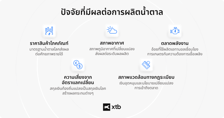 (ALT TEXT - อินโฟกราฟิกจาก XTB สรุป 5 ปัจจัยสำคัญที่ส่งผลต่อหุ้นกลุ่มผู้ผลิตน้ำตาล ได้แก่ ราคาสินค้าโภคภัณฑ์ สภาพอากาศ ความเชื่อมโยงกับตลาดพลังงานผ่านเอทานอล ความเสี่ยงจากอัตราแลกเปลี่ยน และสภาพแวดล้อมด้านกฎระเบียบ )